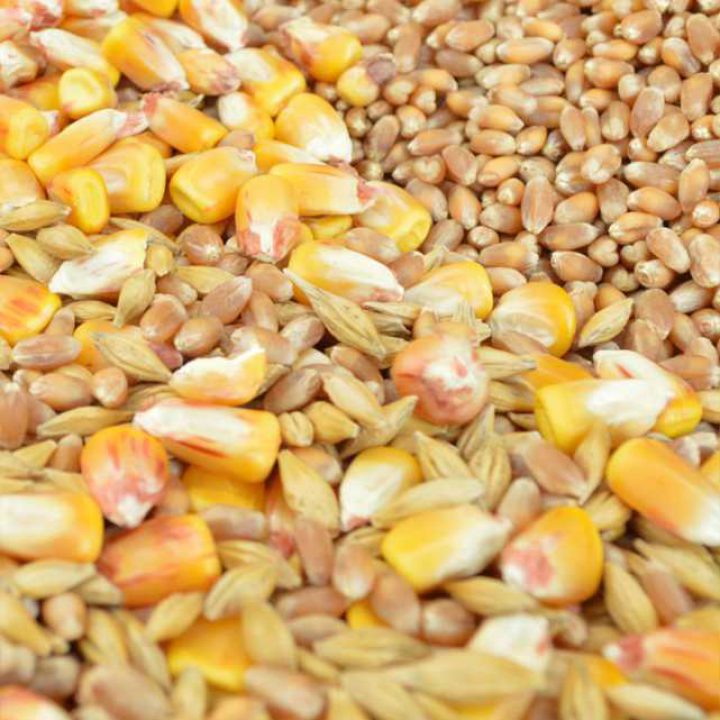 Zaprawy nasienne dla zaprawiania nanoplant start z eko-rol nawozy